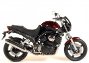 Yamaha BT1100 Bulldog Yamaha BT1100 Bulldog